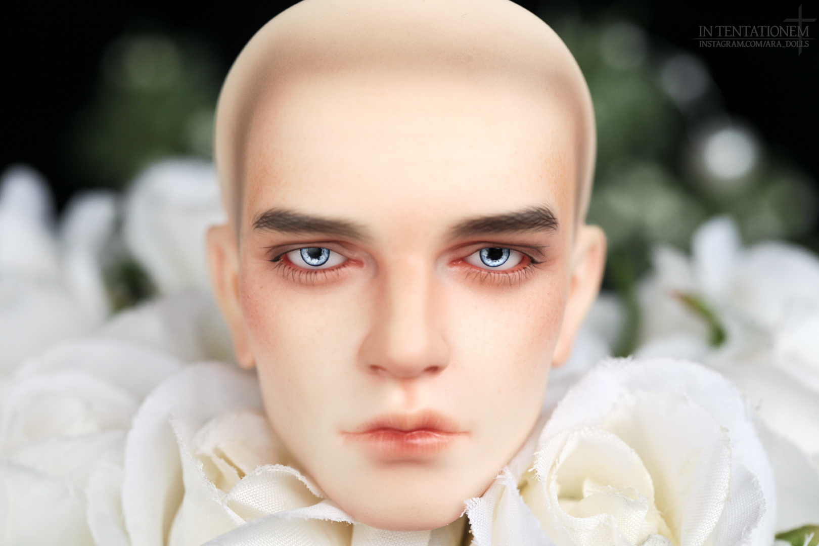 [​IMG]