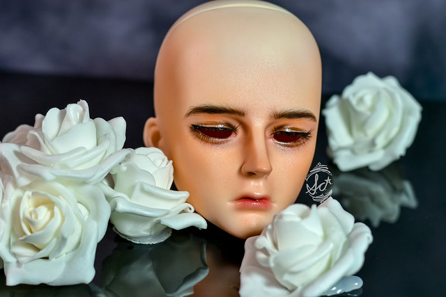 [​IMG]