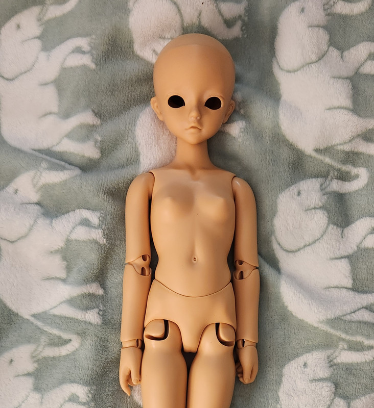 [​IMG]