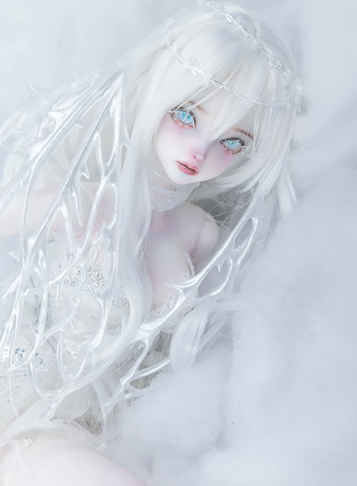[​IMG]