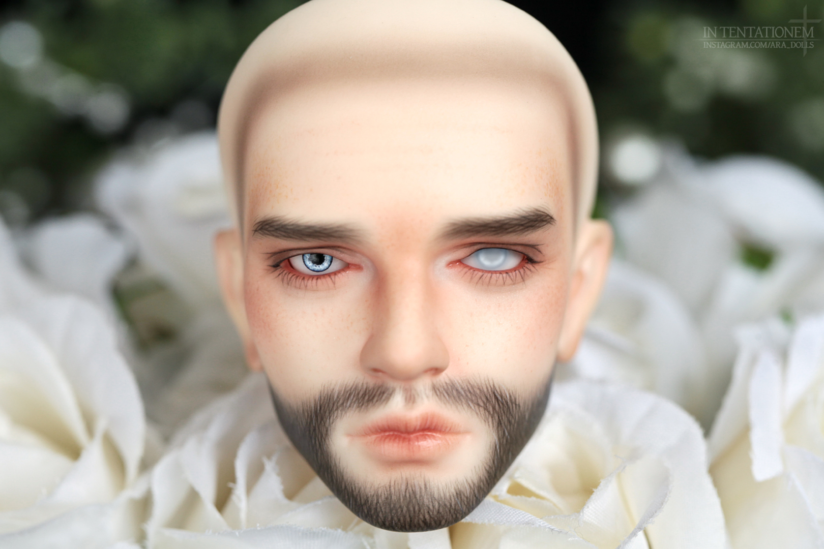 [​IMG]