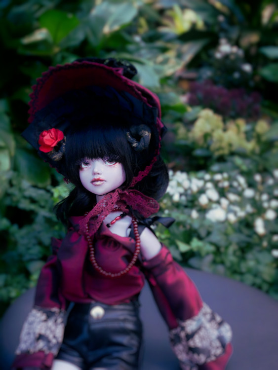 [​IMG]