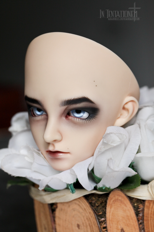 [​IMG]