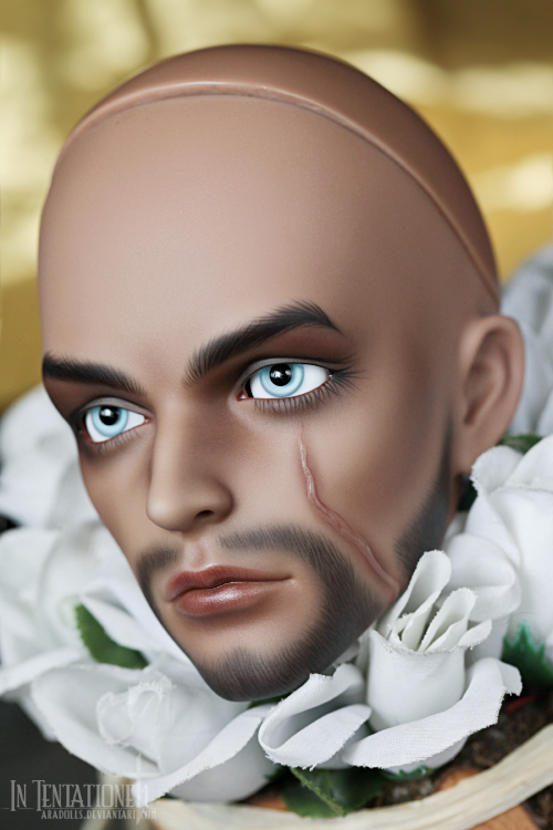 [​IMG]
