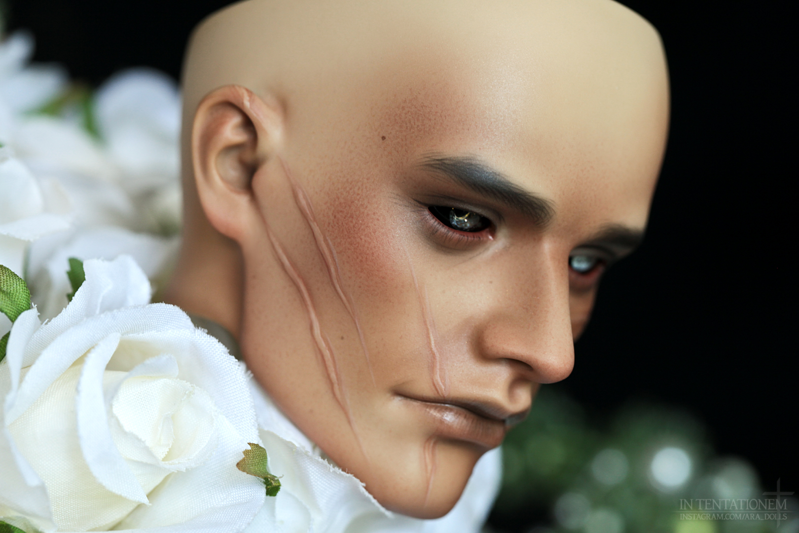 [​IMG]
