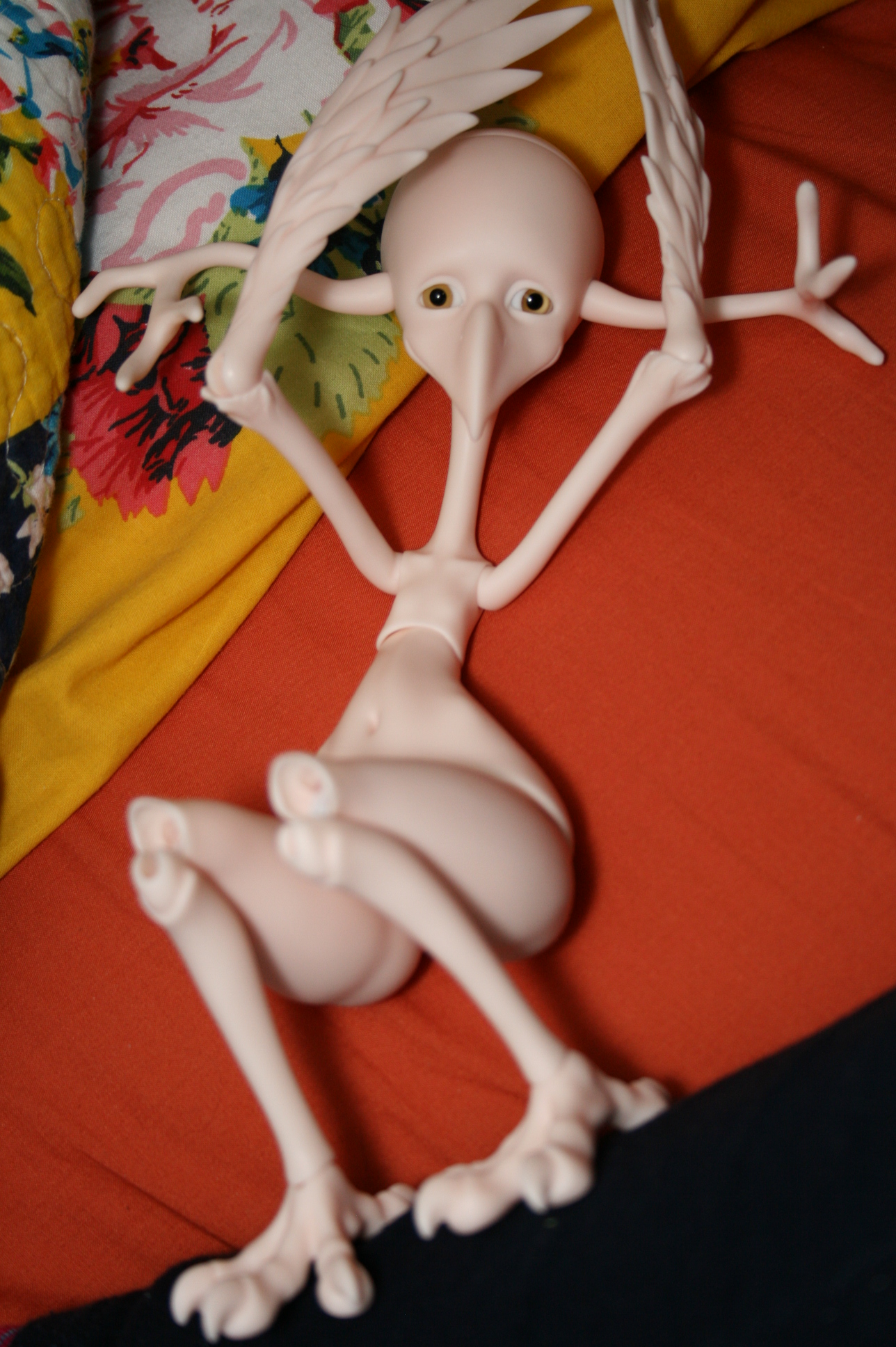 [​IMG]