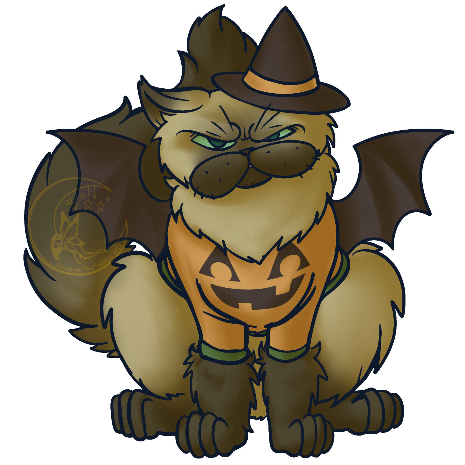 [​IMG]