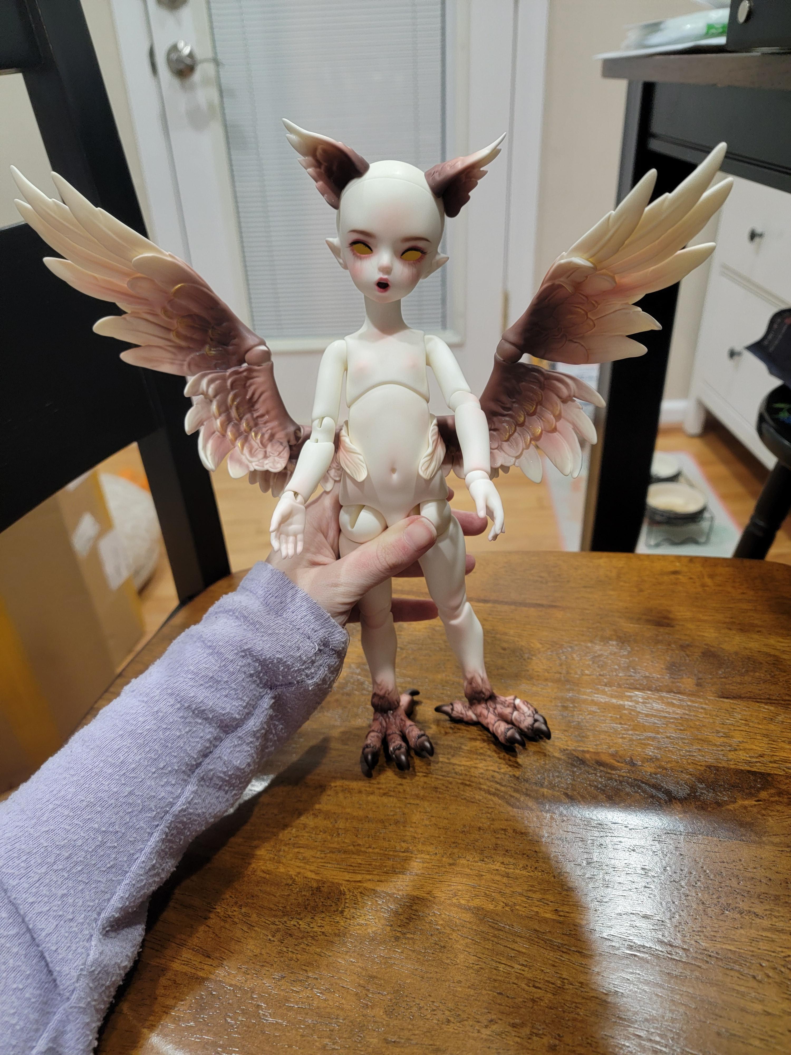 [​IMG]