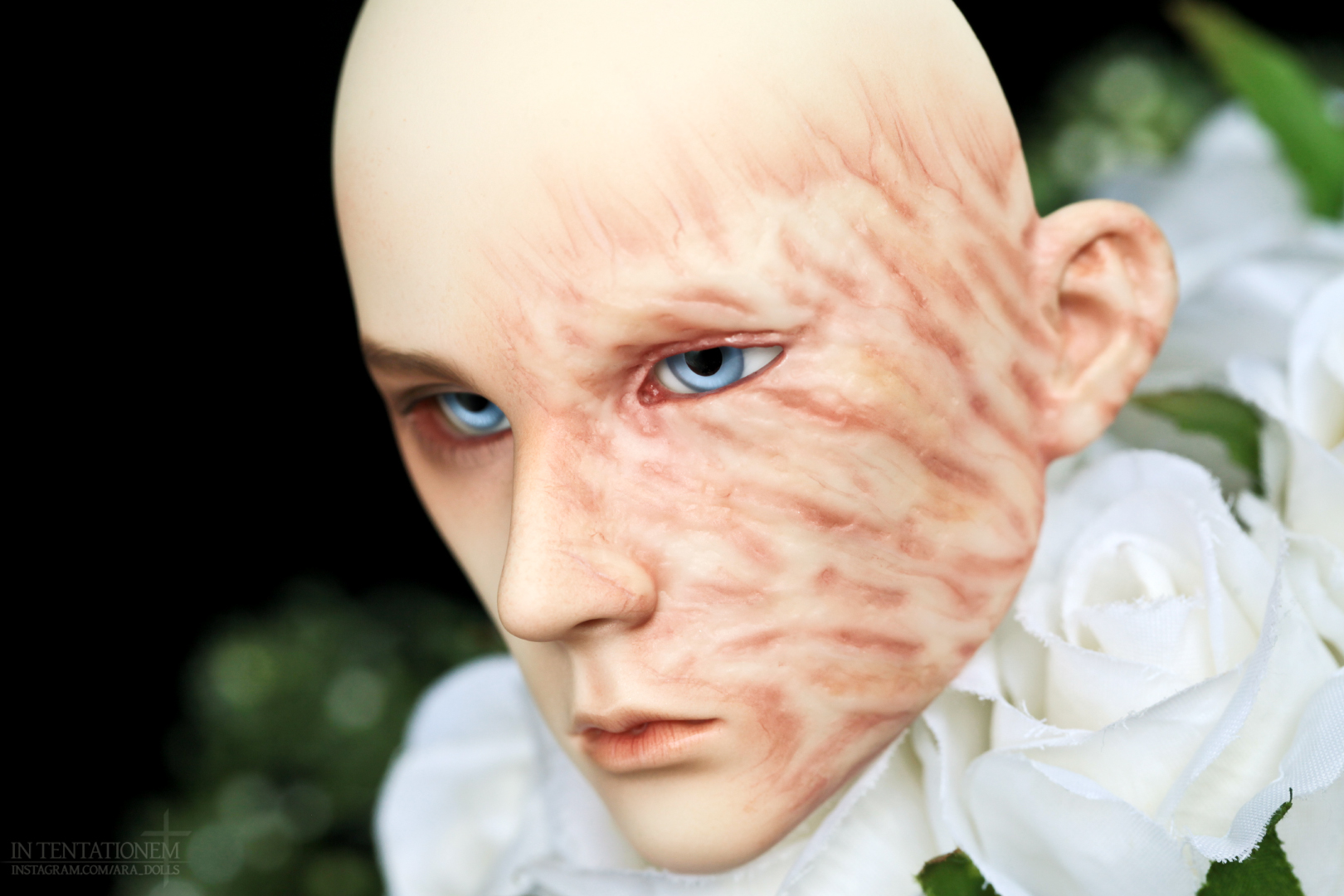 [​IMG]