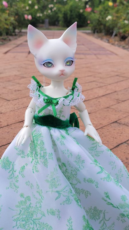[​IMG]