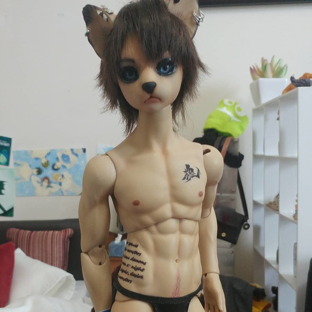 [​IMG]