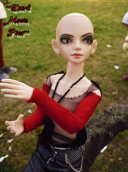 [​IMG]