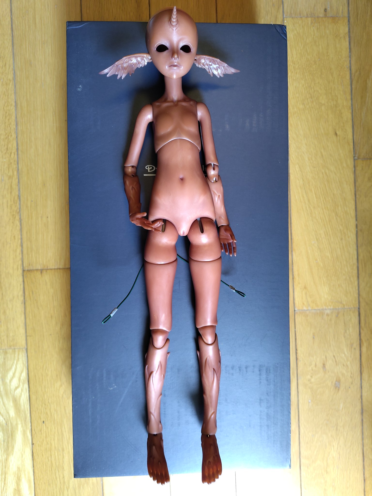 [​IMG]