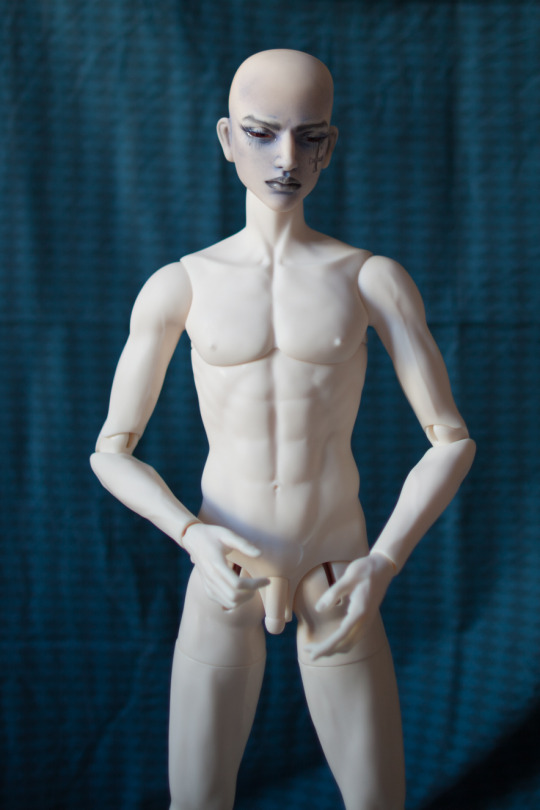 [​IMG]