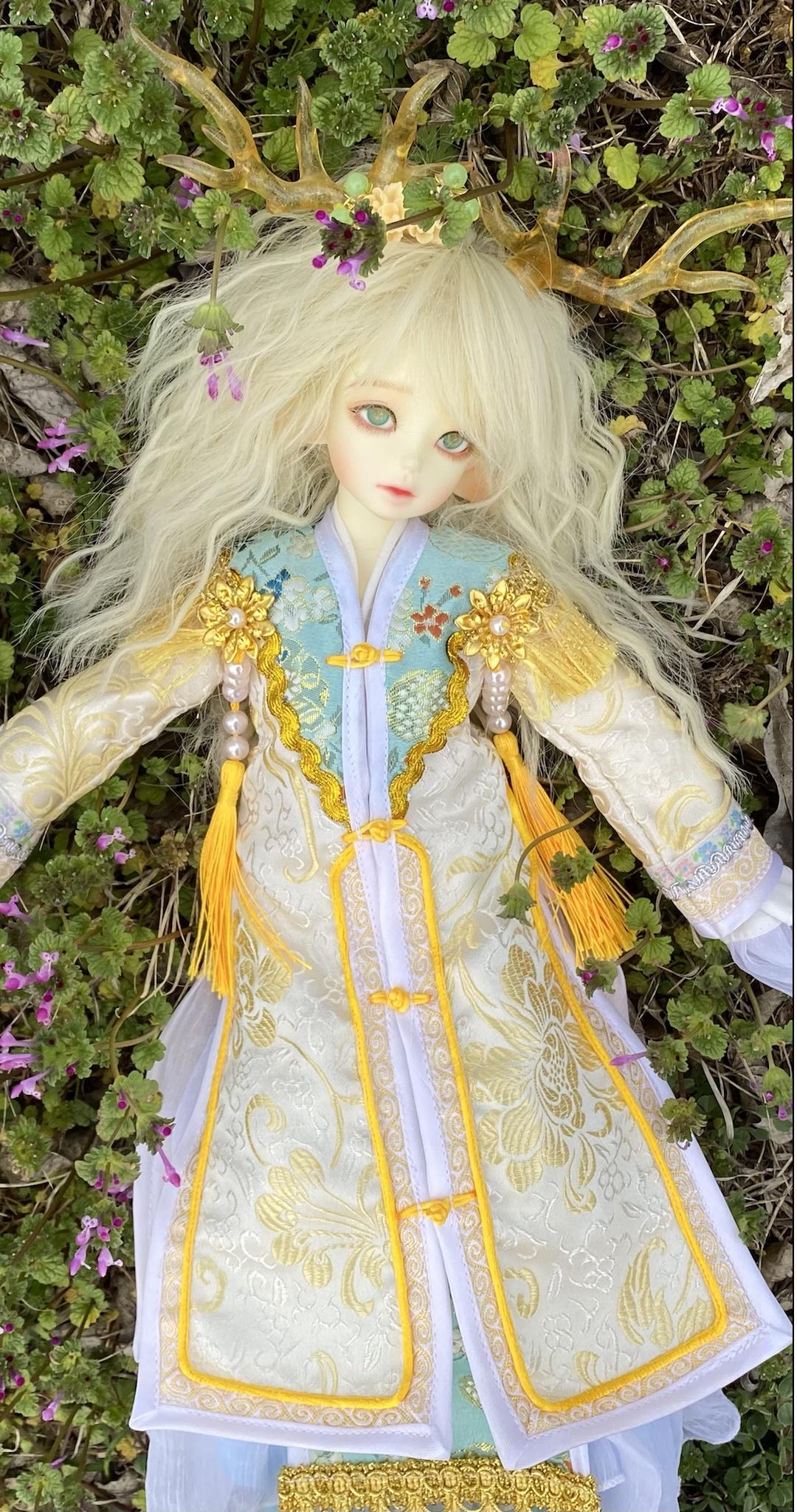 [​IMG]