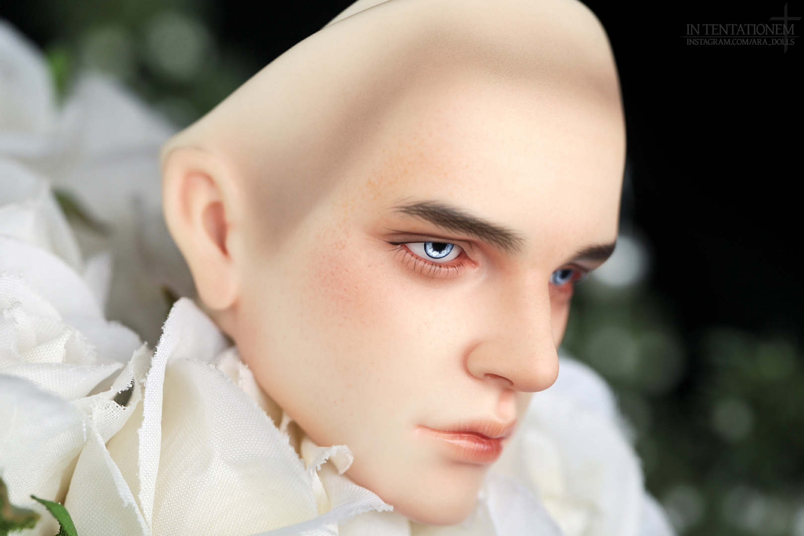 [​IMG]