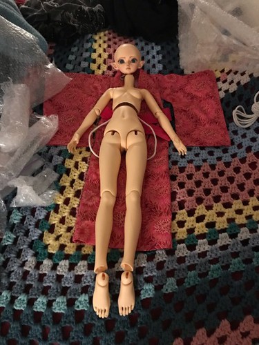 [​IMG]