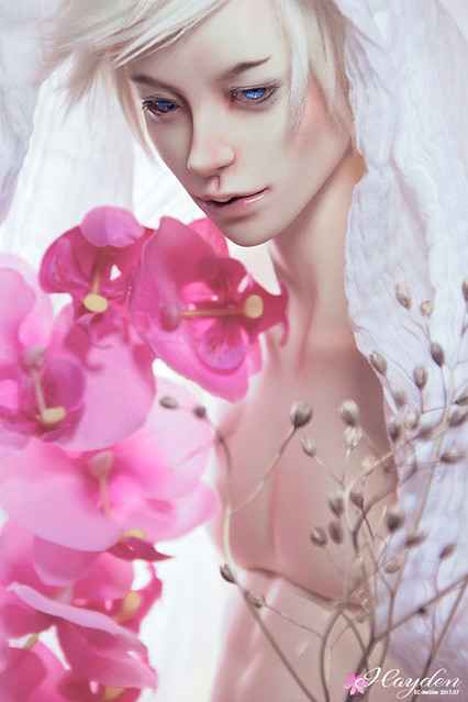[​IMG]