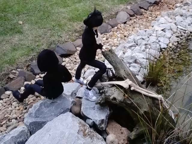 [​IMG]