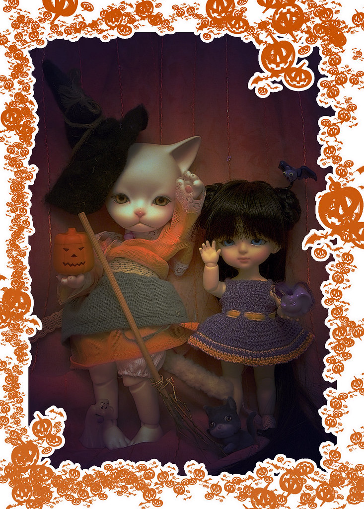 [​IMG]