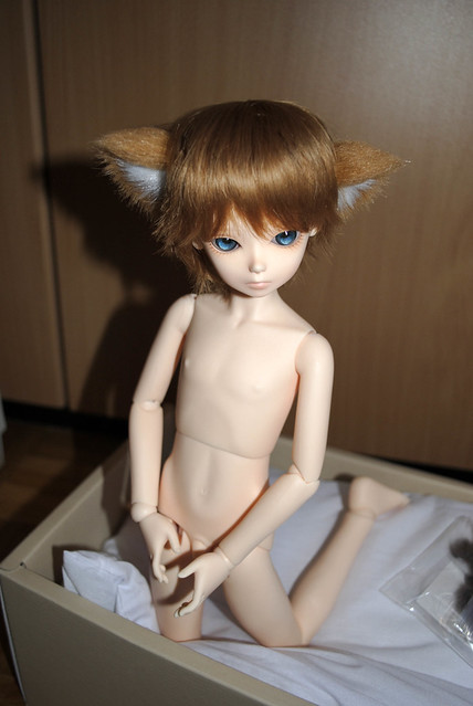 [​IMG]