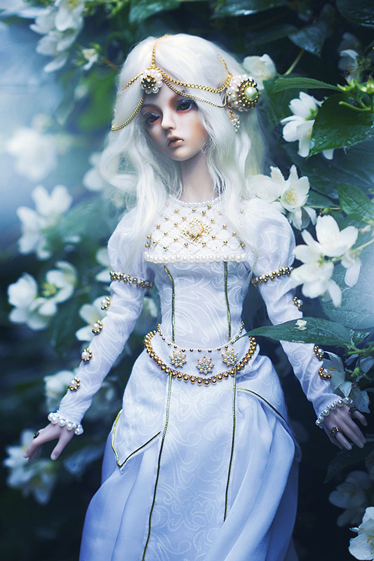 [​IMG]