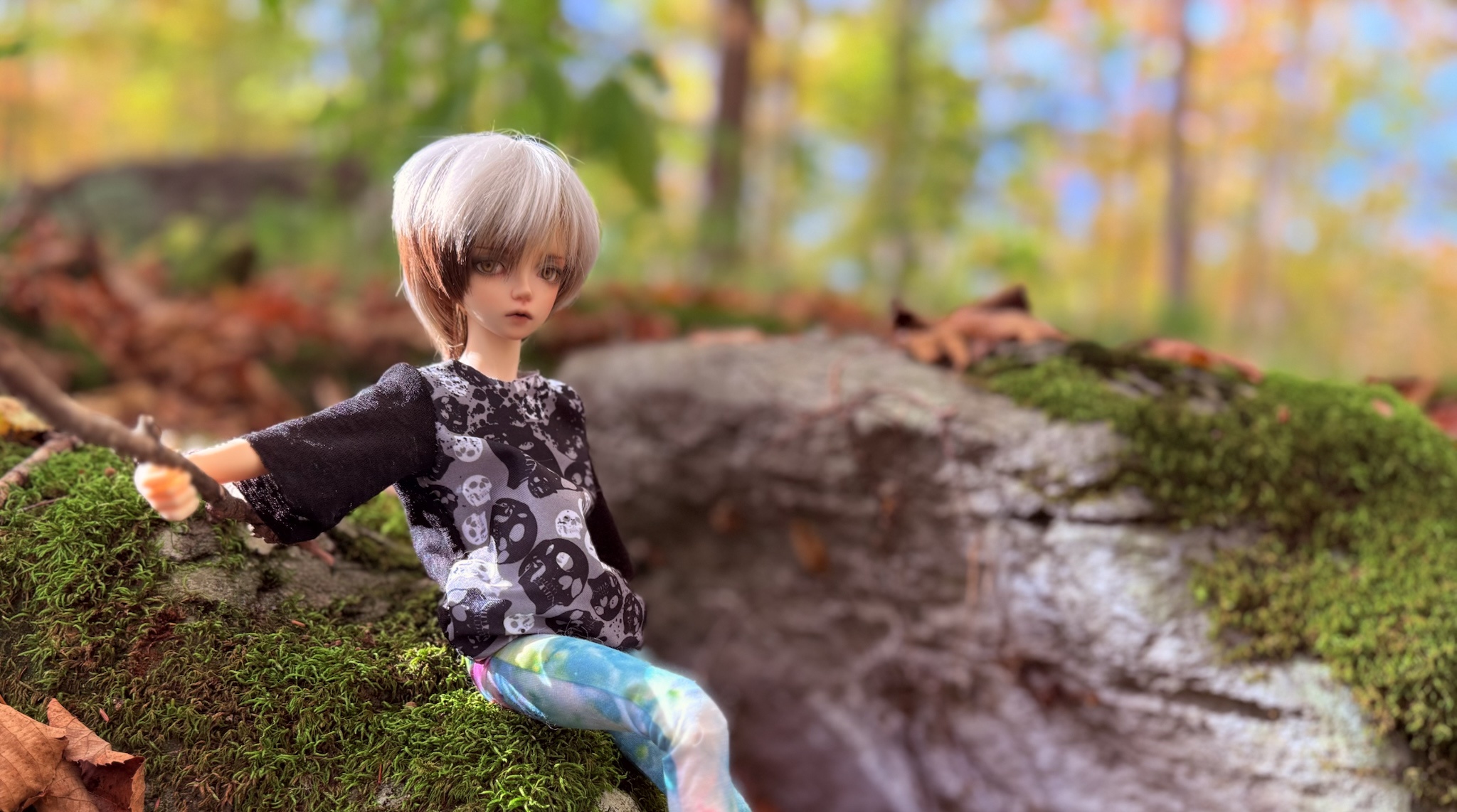 [​IMG]