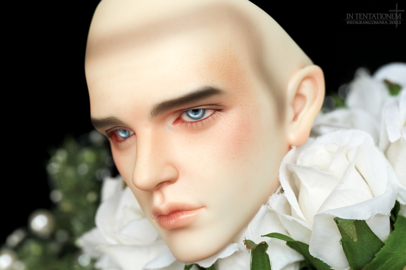 [​IMG]