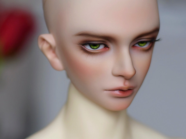 [​IMG]