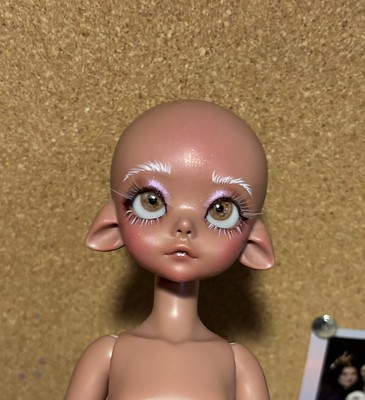 [​IMG]