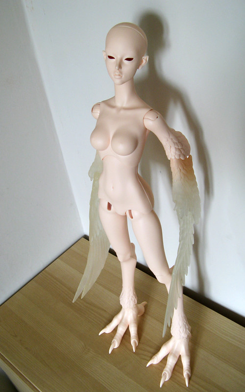 [​IMG]