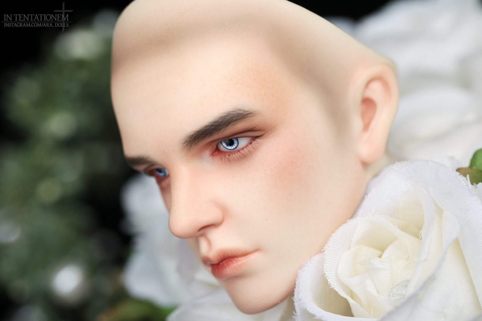 [​IMG]