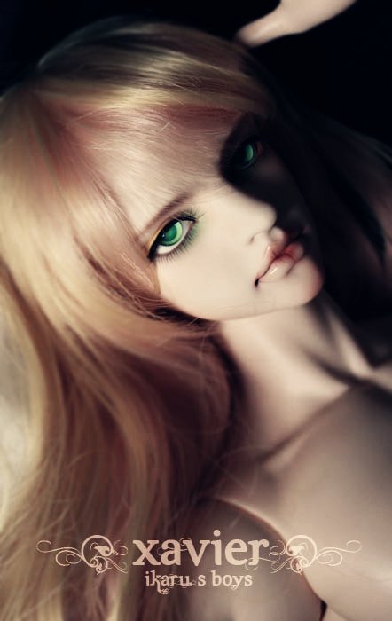 [​IMG]