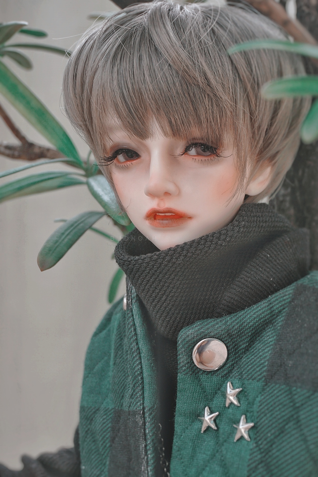 [​IMG]