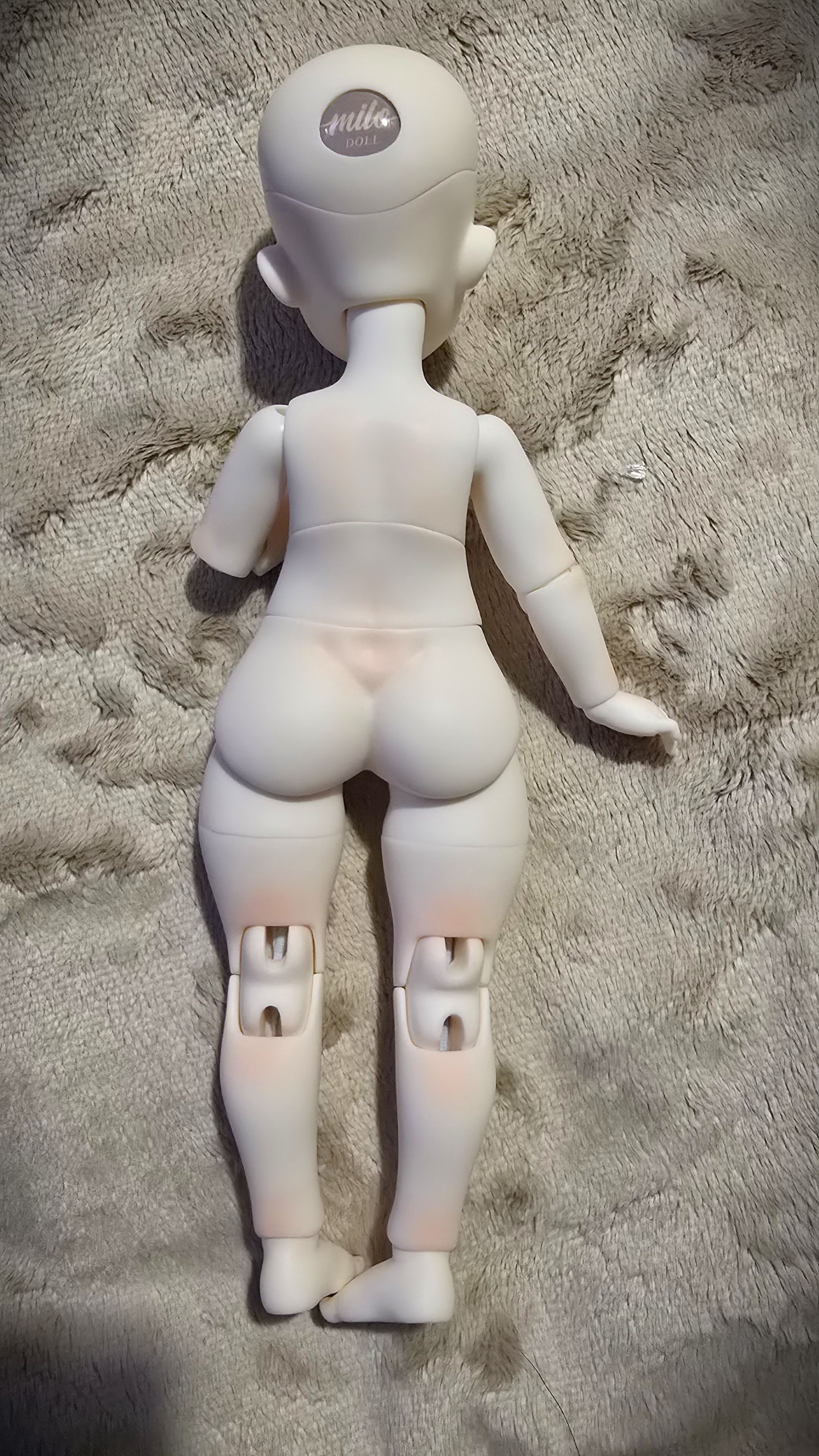 [​IMG]