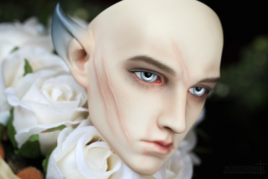 [​IMG]