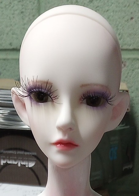 [​IMG]