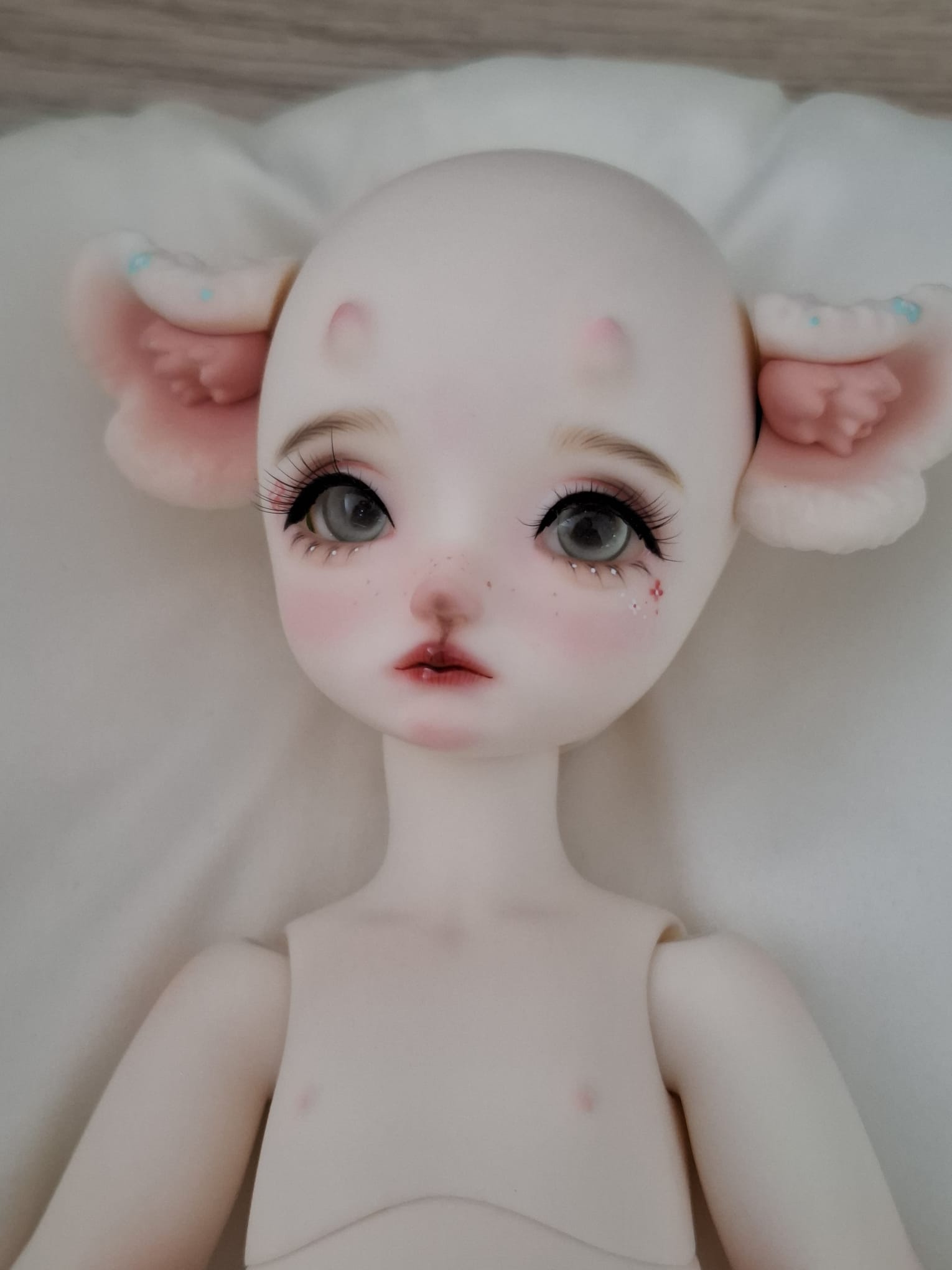[​IMG]