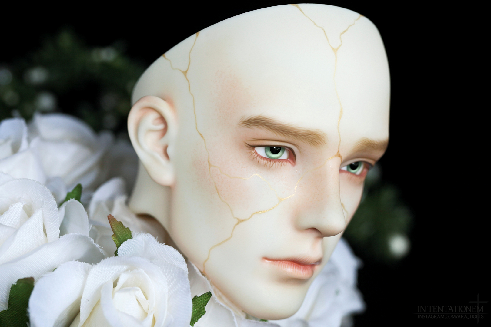 [​IMG]