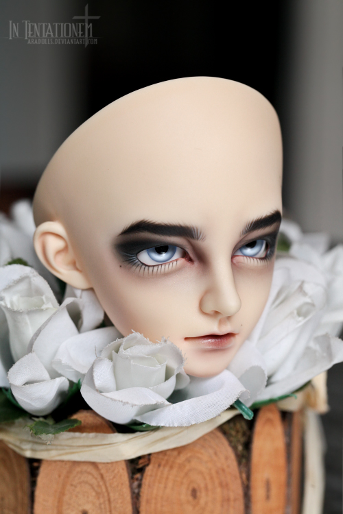 [​IMG]