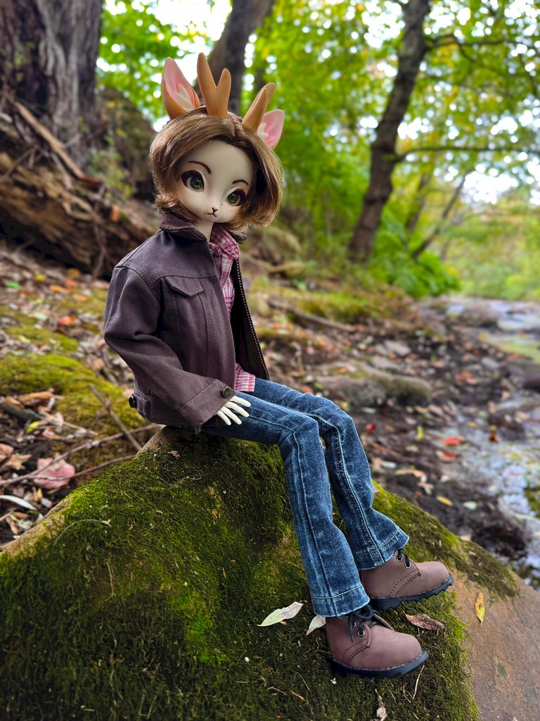 [​IMG]