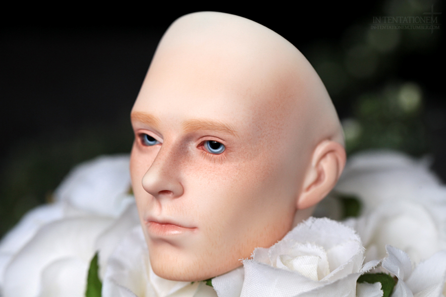 [​IMG]