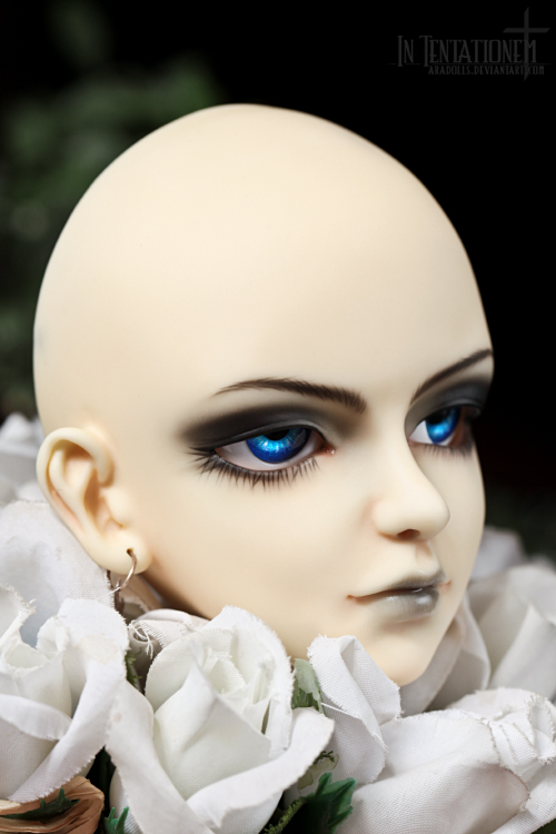 [​IMG]