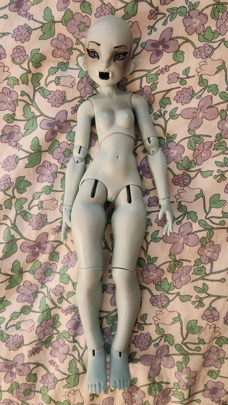 [​IMG]