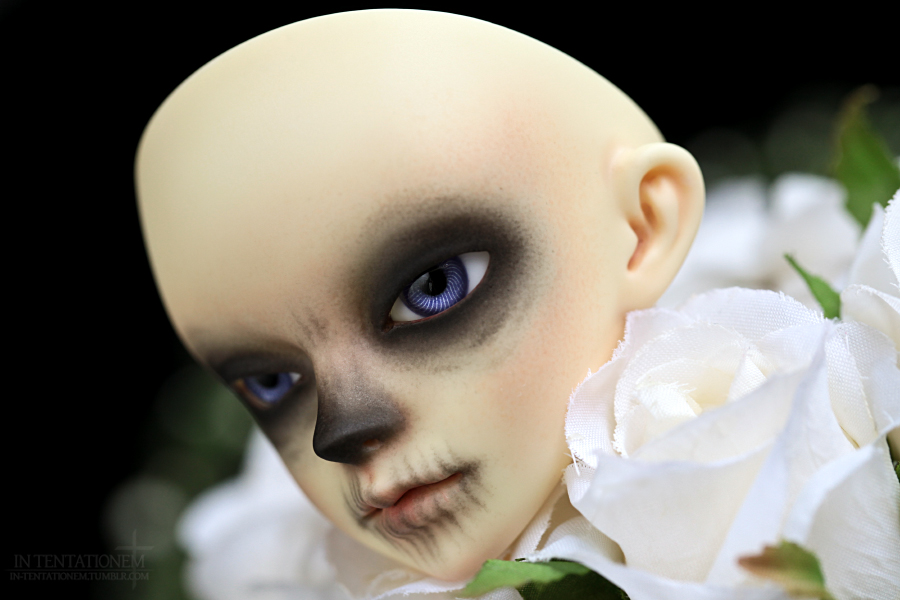 [​IMG]