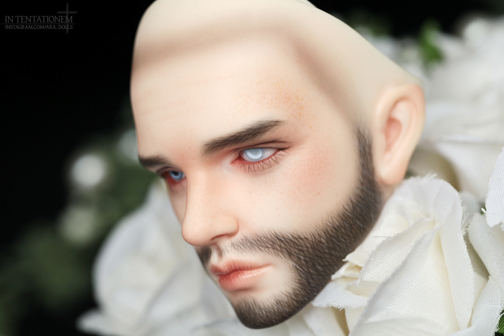 [​IMG]