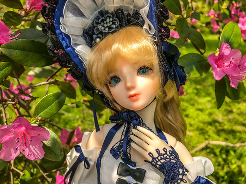 [​IMG]