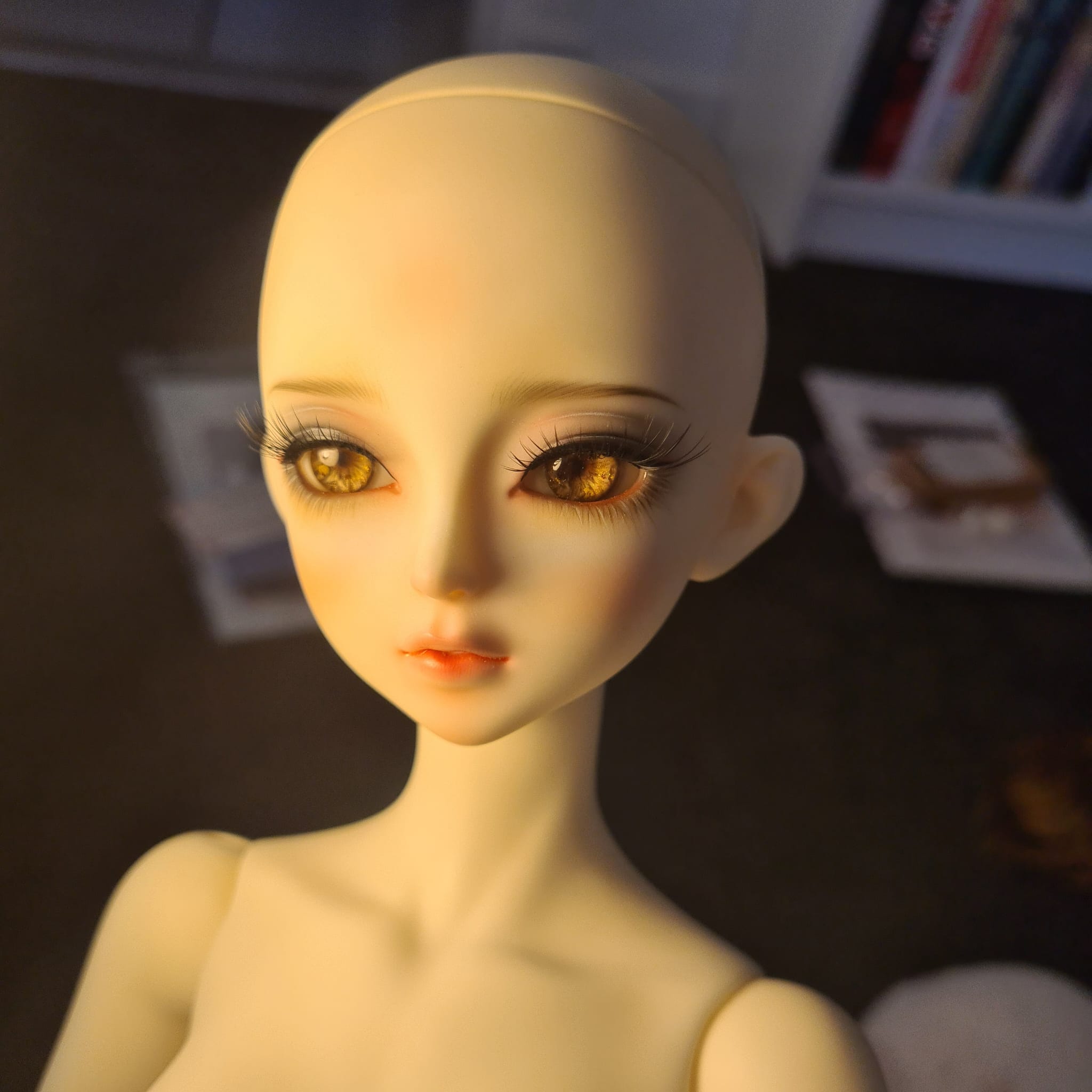 [​IMG]