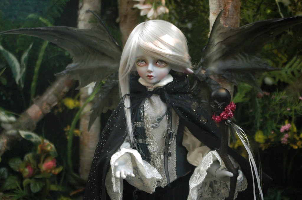 [​IMG]