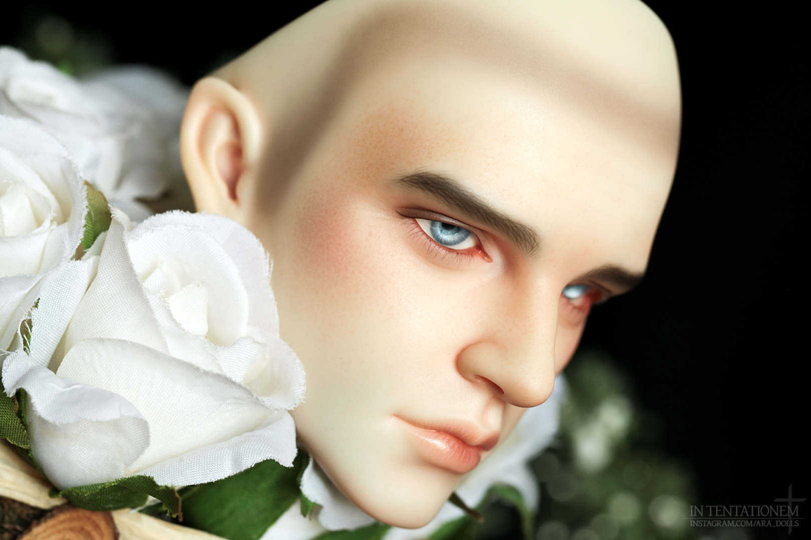 [​IMG]